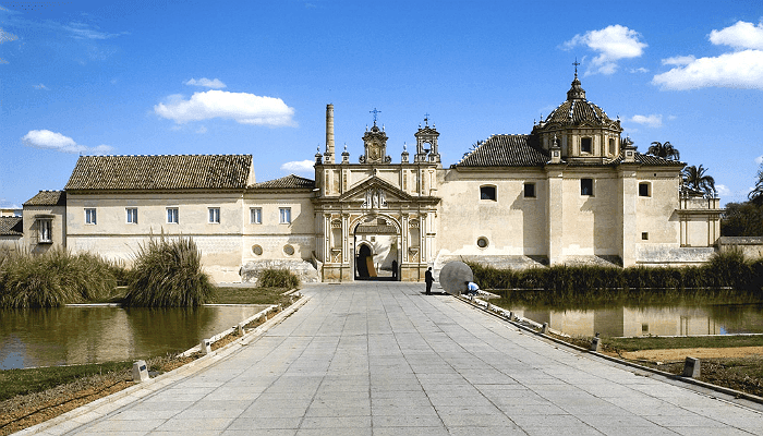 Universidad Francisco de Vitoria