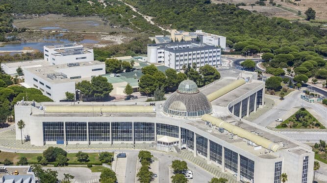 Universidad de Cadiz